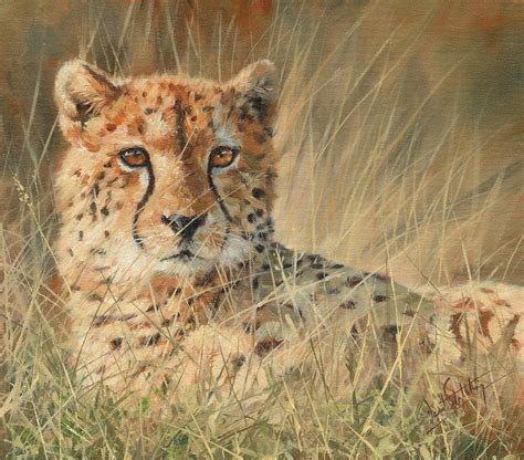 Cheetah Painting By David Stribbling Fine Art America