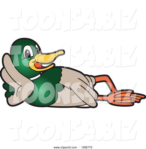 Vector Illustration Of A Cartoon Mallard Duck School Mascot Resting On