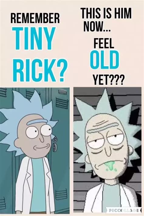 What Are The Best Rick And Morty Memes Quora