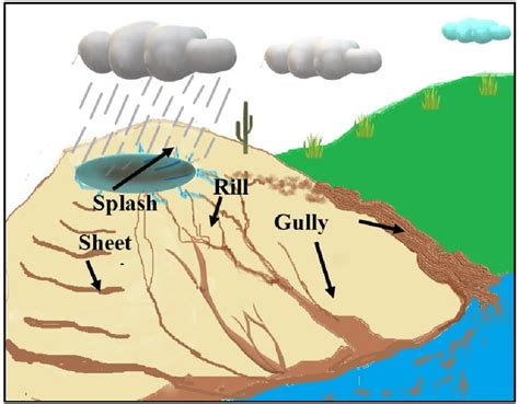 The Types Of Soil Erosion By Water Download Scientific Diagram