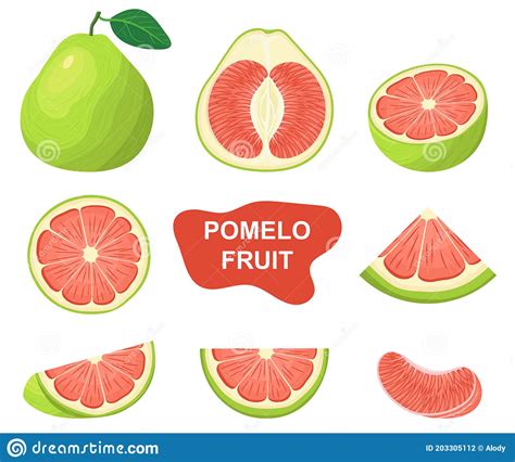 Set Of Fresh Whole Half Cut Slice Red Pomelo Fruits Isolated On White