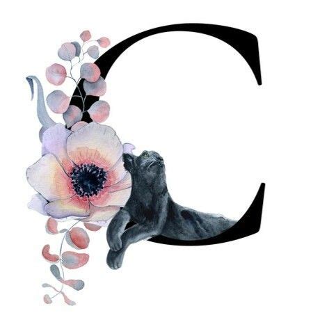 C alphabet design logo vector. Buchstabe - Letter C | Floral watercolor, Alphabet letters ...