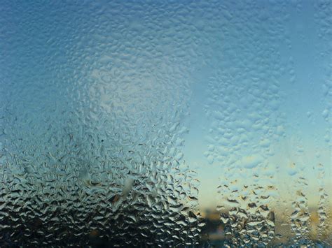 Condensation Afternoon Condensation In Winter Sun Flickr