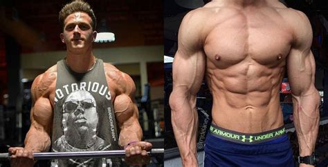 Trenbolone Acetate Guide Cycle Dosage Results And Side Effects