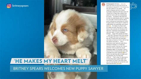 Britney Spears Introduces New Puppy Australian Shepherd Named Sawyer Makes My Heart Melt
