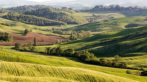 Tuscan Rural Landscape By Stocksy Contributor Marilar Irastorza