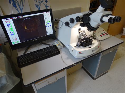 Used scanning electron microscope for sale zeiss evo 40thermo edx and wdx dry sdd edx detector six crystal maxray parallel beam spectrometer 1x evo 40 scanning electron microscope with edx and wdx spectrometers (age 5 years). Ultra-microtomes | OSU Electron Microscopy Facility ...