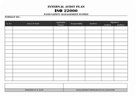 Audit Report Template Excel New Audit Plan Template Excel Internal