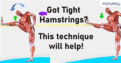 Tight Hamstrings Are Your Hamstrings Very Tight This Special