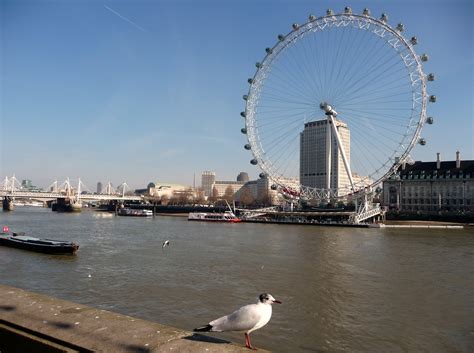 Filelondon Westminster River Thames And London Eye