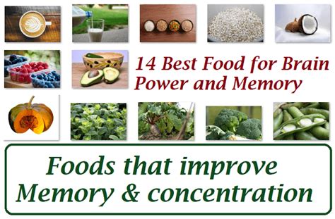 14 Best Food For Brain Power And Memory Healthyfoods4u