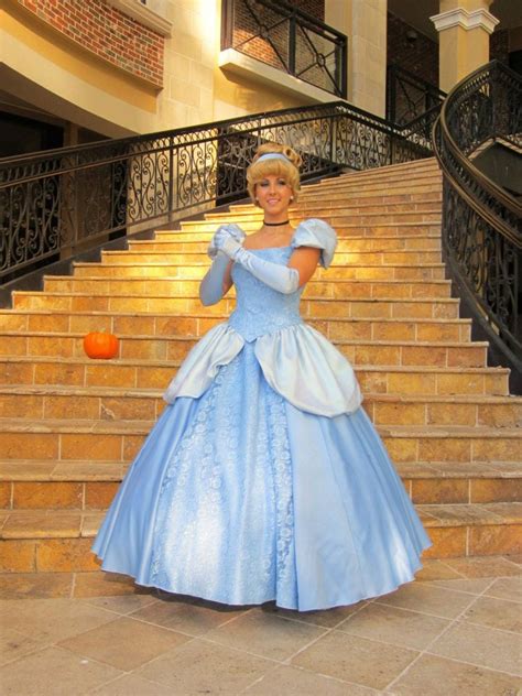 Cinderella Costume Etsy