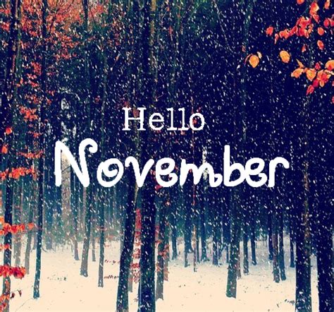 Hello November Pictures Photos And Images For Facebook Tumblr