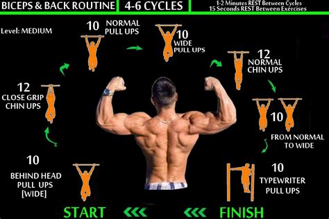 simple calisthenics stomach exercises at gym exercises to belly fat