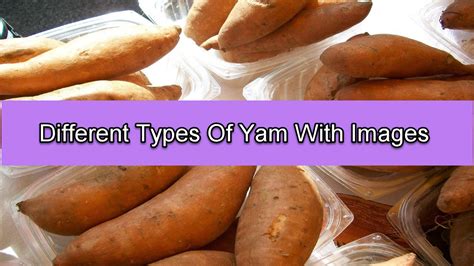 8 Different Types Of Yam With Images Asian Recipe