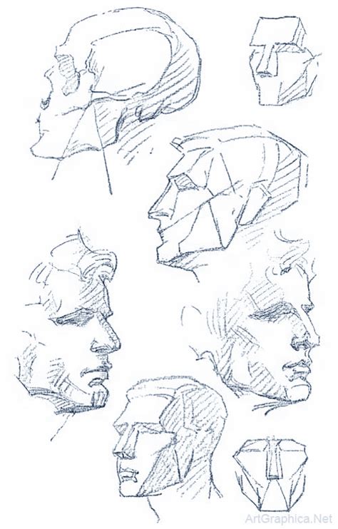 Drawing The Human Head Drawing Heads Human Anatomy Drawing Human