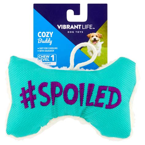 Buy Vibrant Life Cozy Buddy Squeaky Bone Dog Toy Color May Vary Chew