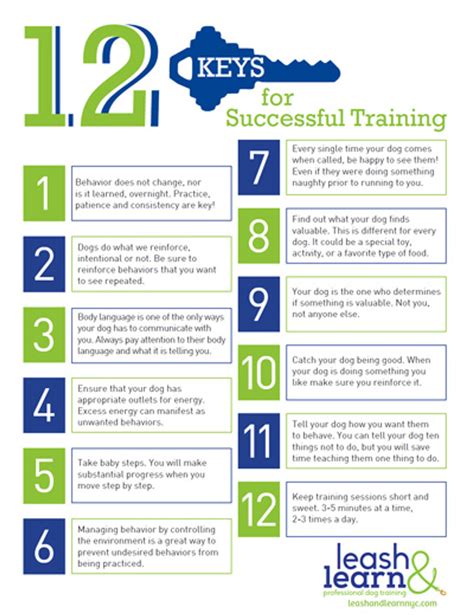 12 Keys For Successful Training 100 Sheet Handout Dogwise