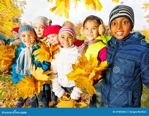 Happy Children With Bunches Of Yellow Maple Leaves Stock Image Image