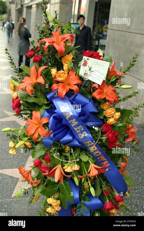 Dec 26 2006 Hollywood Ca Usa Flowers Mark Singer James Browns
