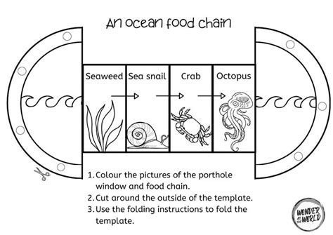 Food Chains Foldout Activity Ks Science Rainforest Ocean Woodland