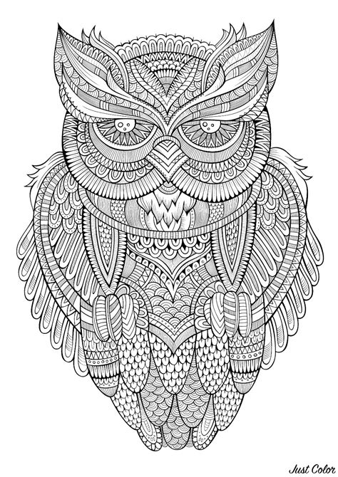 Peaceful Owl Owls Adult Coloring Pages