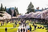 Universidades en Washington Estados Unidos - Estudiar en EE.UU.