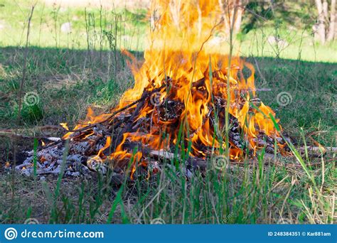 Burning Campfire Flaming Bonfire In Forest Stock Image Image Of