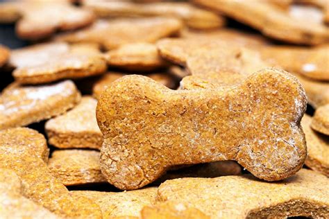 9 Grain Free Dog Treats That Are So Yummy This Dogs Life