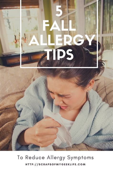5 Fall Allergy Tips For Your Home To Reduce Allergy Symptoms Scraps