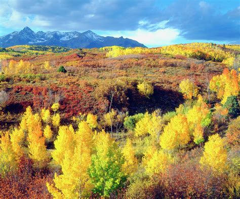 Usa Colorado Rocky Mountains Autumn Photograph By Jaynes Gallery