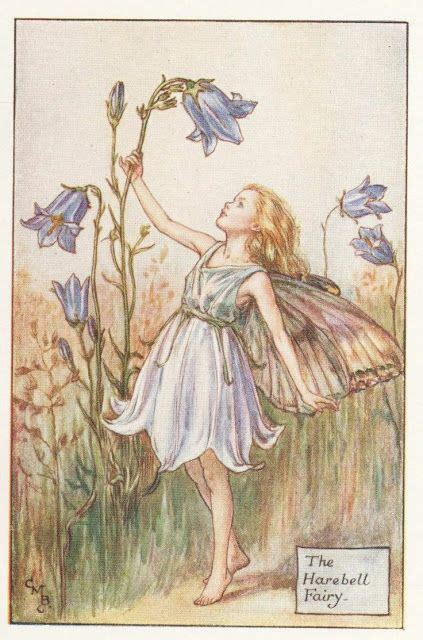 Hypnogoria Folklore On Friday The Bluebells And The Fairies Flower