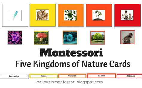 Five Kingdoms Of Nature Montessori Classification Cards Montessori