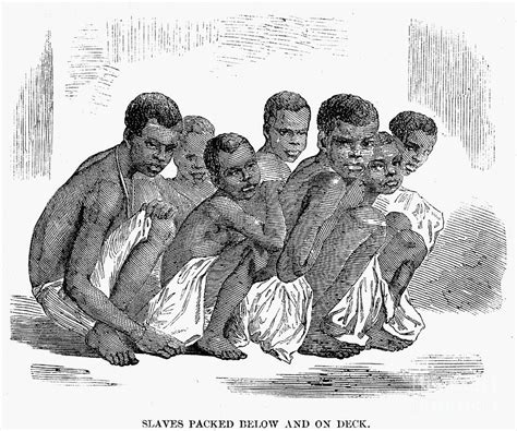 Slavery Slave Ships 1857 Photograph By Granger