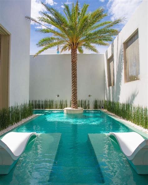 Now This Is Living Is The Palm Tree Real Simple Pool Pool Decor