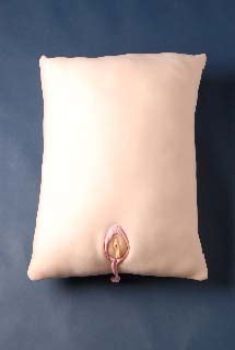 The Big Imageboard Tbib Inanimate Pillow Sex Toy Tagme