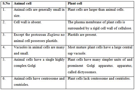 Do animal cells contain plastids. Quotes about Animal cell (22 quotes)