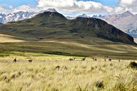 Free shipping on orders +$50. One Million Acres Donated for Creation of National Parks ...