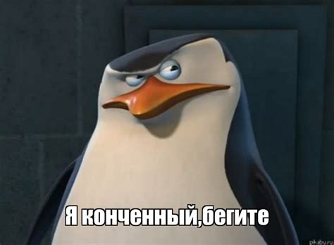 Create Meme Kowalski Options Meme The Penguins Of Madagascar Skipper