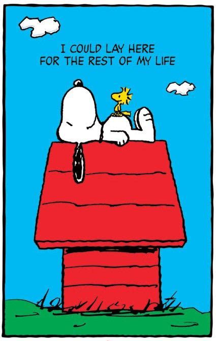 2396 Best Images About Snoopy And Peanuts On Pinterest