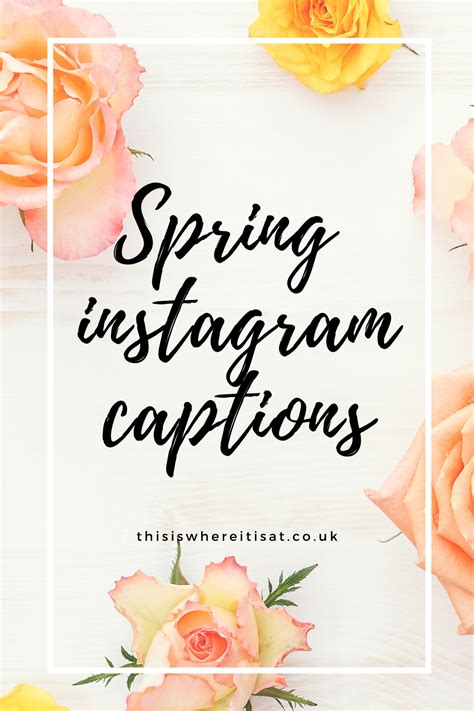 Spring Instagram Captions ~ This Is Where It Is At