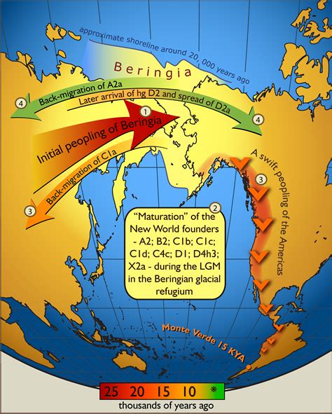 Bering Land Bridge Strip Of Land Connecting Siberia To Alaska During