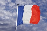 Bandera de Francia: imágenes, curiosidades, historia y significados ...