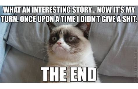 The 50 Funniest Grumpy Cat Memes Grumpy Cat Humor