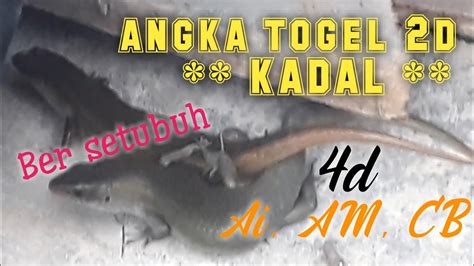mimpi kawin togel 2d
