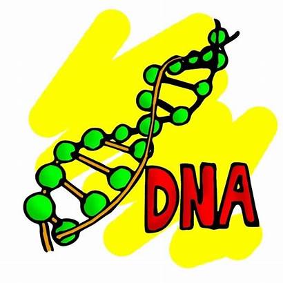 Dna Science Genetics Animation Does Animated Clipart