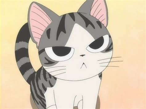 Chi The Cat Neko Dd Chis Sweet Home Anime Anime Cat