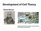 Who Discovered Nucleus Of The Cell? - Mastery Wiki
