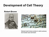 Who Discovered Nucleus Of The Cell? - Mastery Wiki