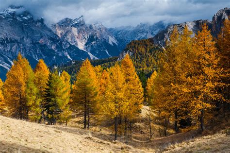 Волшебная осень в Доломитовых Альпах